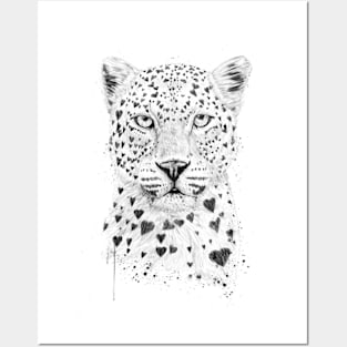 Lovely leopard Posters and Art